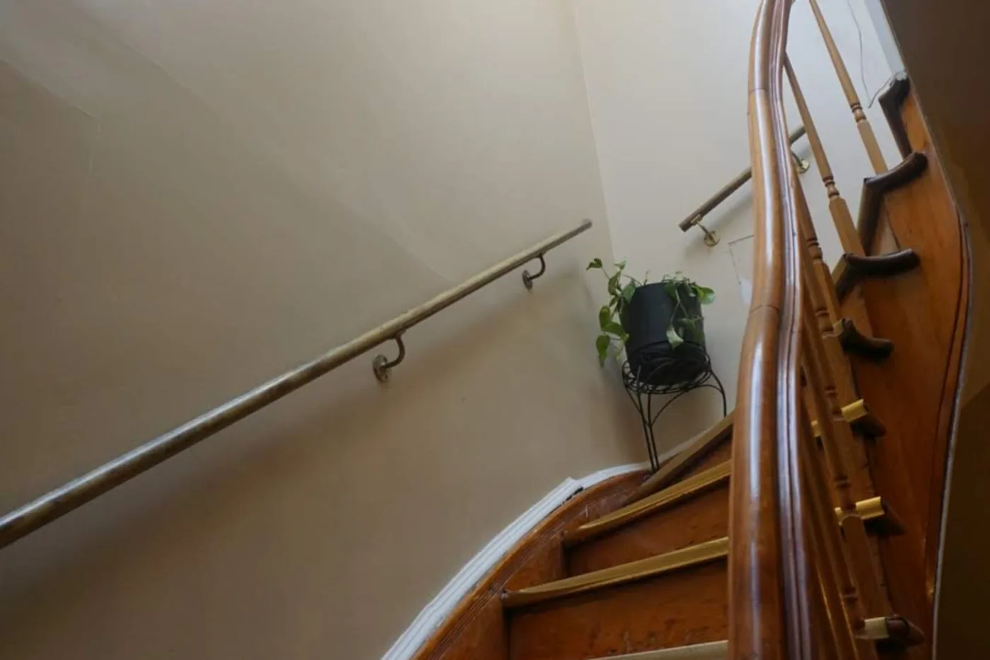 The same stair hall after painting: the walls one even cream, the brass handrail and the curved banister, a potted plant on the landing.